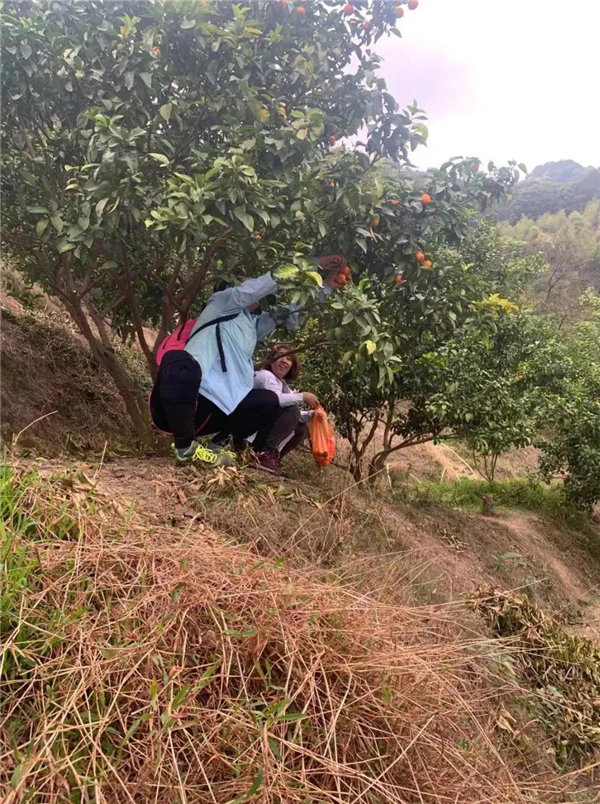 博行天下俱樂部走進從化十登的第二峰-雞枕山     -18